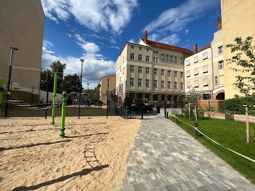 Platanus school - Visual