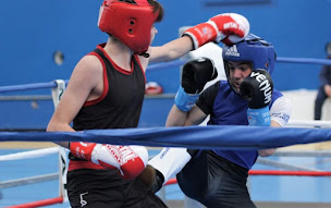 Photo n°21 de savate boxe Sainte-hermine à Sainte-Hermine (Club de boxe)