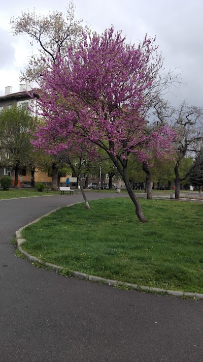 Photos of Майчин дом