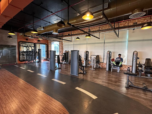 BIG Fitness | VIP Road