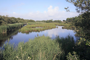 Photo n°7 de Camping La Plage De Cleut Rouz à Fouesnant (Piscine)