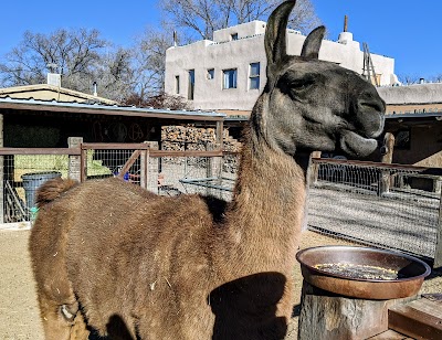 Casa Grande Trading Post