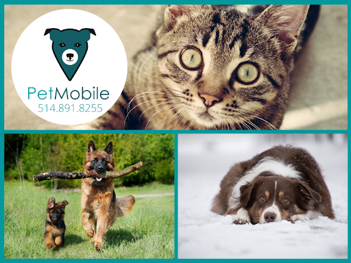 PetMobile Famille Courteau