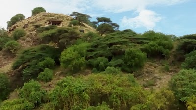 Photos of Parmalok
