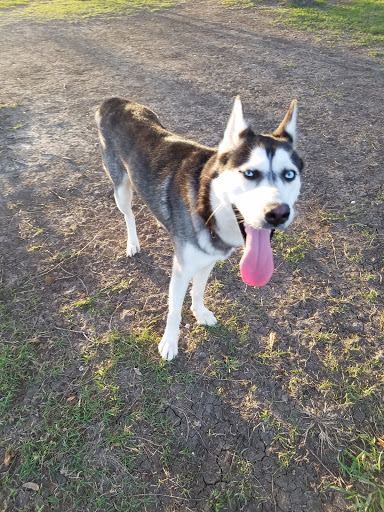 Texas City Dog Park - Thumbnail