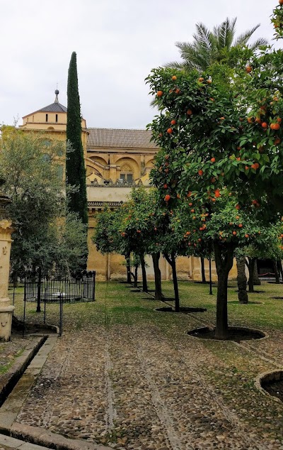 Photos of Los Patios