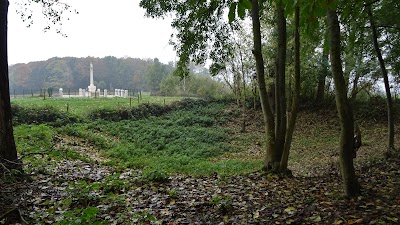 Photos of R.E. Grave, Railway Wood