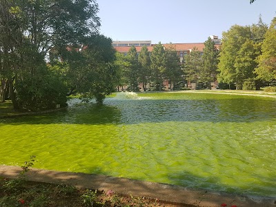 Japanese Garden, Anadolu University