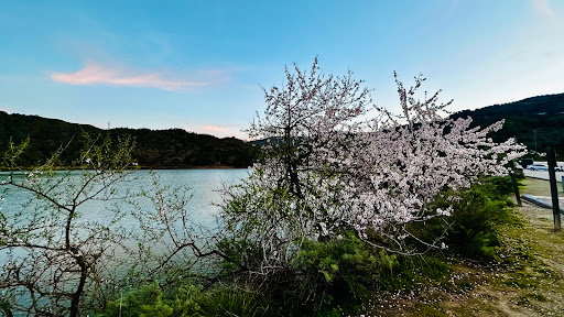 Stevens Creek Reservoir parking lot - Thumbnail