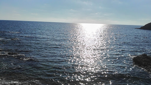 Abcm Sa Playa S.L. - Thumbnail