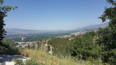 Photos of Green Erek