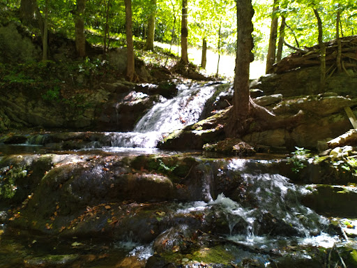 Kingsport Sovereign Grace Church - Thumbnail