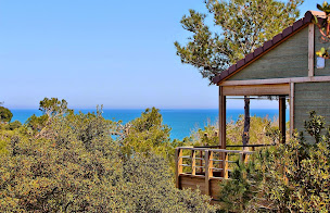 Photo n°1 de Camping Les Amandiers à Collioure (Terrain de camping)