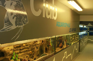 Photo n°12 de Club Aquariophile - Les Abysses à Rueil-Malmaison (Aquarium)