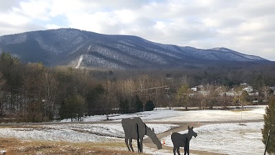 Roanoke Moose Family Center 284