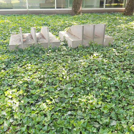 Paleistuin - Visual