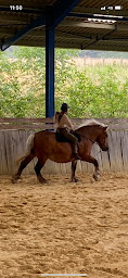 Photo n°10 de CHEVAL Pot' âgé à Bersac-sur-Rivalier (Club d'équitation)