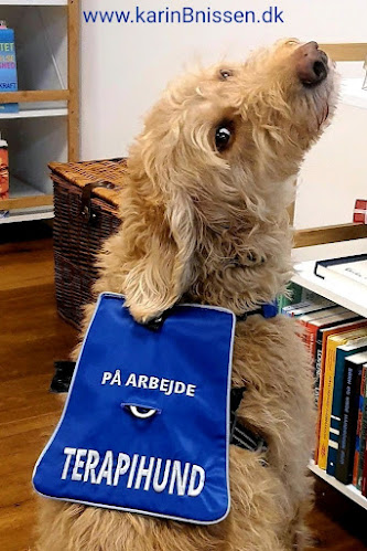 Opinii despre Privat Socialrådgiver Karin B Nissen în Børkop - Læge