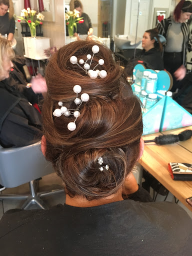 V12 Hair Topiary - Thumbnail