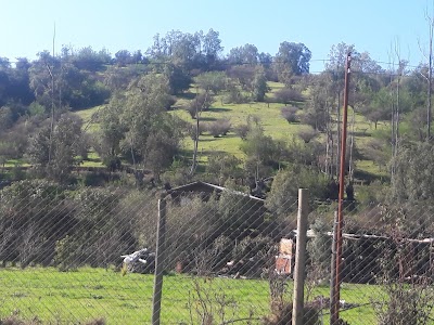 Photos of Agua Verde Plot