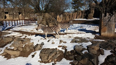 Zebra And Rhino Habitat