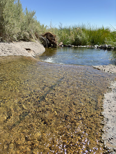 Rogers Spring - Visual