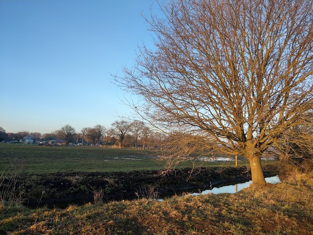 Heather Farm Cafe