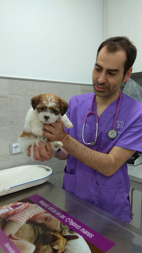Vetxana, Clinica Veterinaria