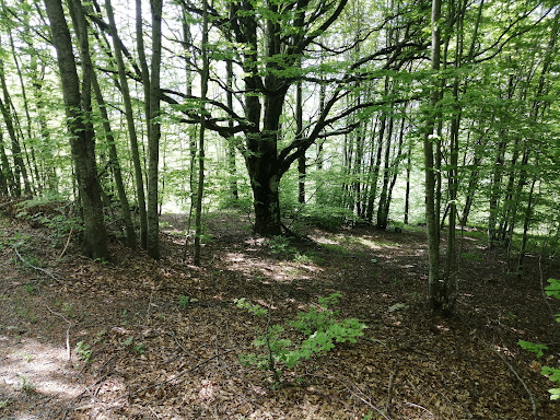 Monte Chiodo - Thumbnail