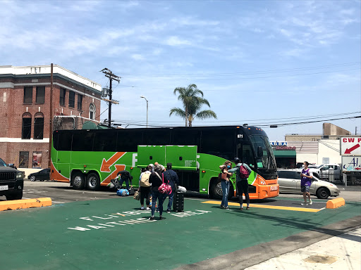 Flix Bus - Visual