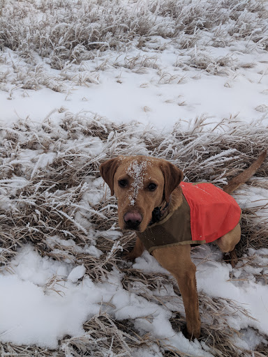 Lake's Lodge & Hunting Preserve - Thumbnail