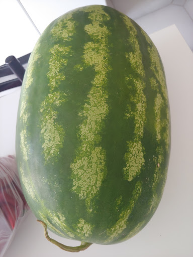 Frutmania - Visual