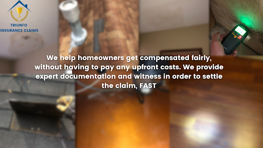 Triunfo Insurance Claims- Public Adjuster