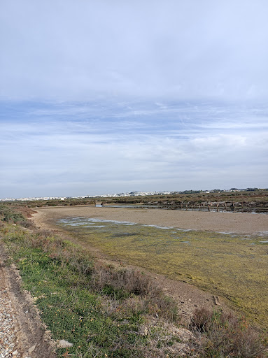 Molino de Pesca - Thumbnail