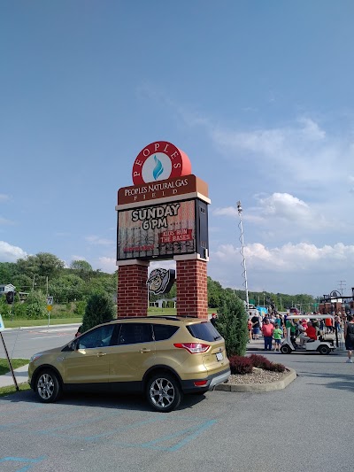 Altoona Curve Baseball