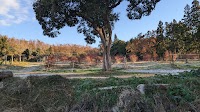 すまーと農園・えころっじKitsuki・キャンプ場
