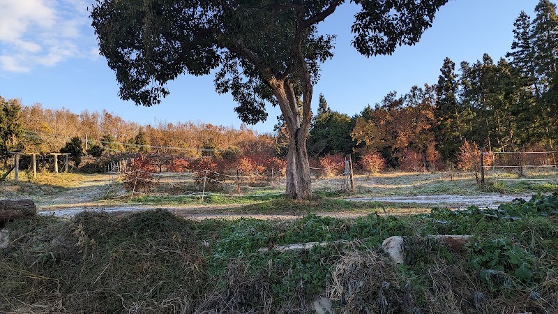 すまーと農園・えころっじKitsuki・キャンプ場