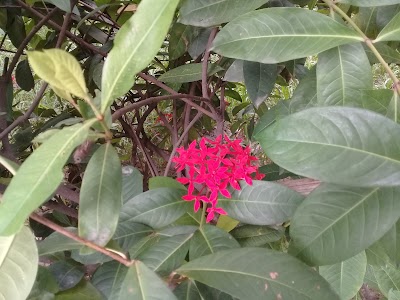 Photos of 6 No Sector Park