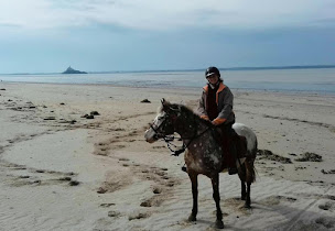 Photo n°11 de La Cavalerie de Montchaton à Orval sur Sienne (Pension pour chevaux)