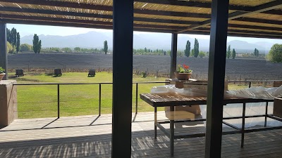 Photos of Bodega Matias Riccitelli MR & MR