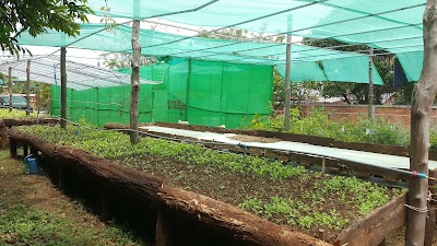 Photos of Bamboo Restaurant and Guesthouse