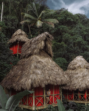 Dominican Tree House Village by null