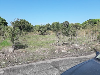 Photos of QUINTAS LA PONDEROSA