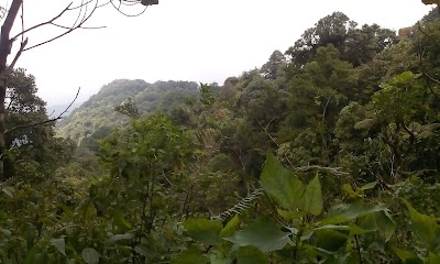 Photos of Gunung Semungklung