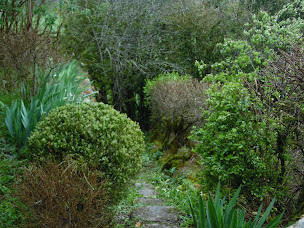 Photo n°14 de Les Terrasses de Gaumier, Gîte, Chambres, Tables d'hôtes à Florimont-Gaumier (Gîte)