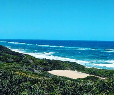 Photos of Praia de Chidenguele