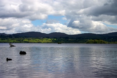 Photos of Rhu-Gorse