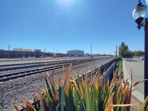 Roseville Train Watching Platform Gallery - United States