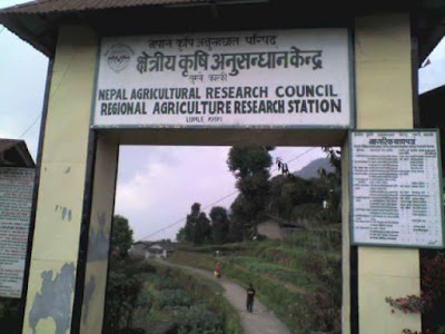 Photos of Regional Agricultural Research Station (RARS), Lumle