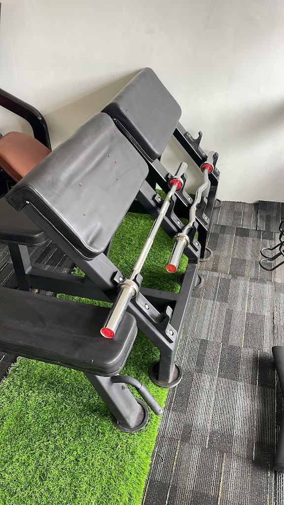 Mind Muscle Gym Equipment Dealers Sale And Service